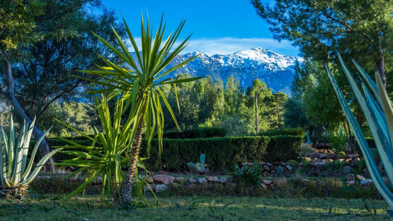 La Bergerie Auberge & Restaurant Bed & Breakfast Ouirgane Exterior photo